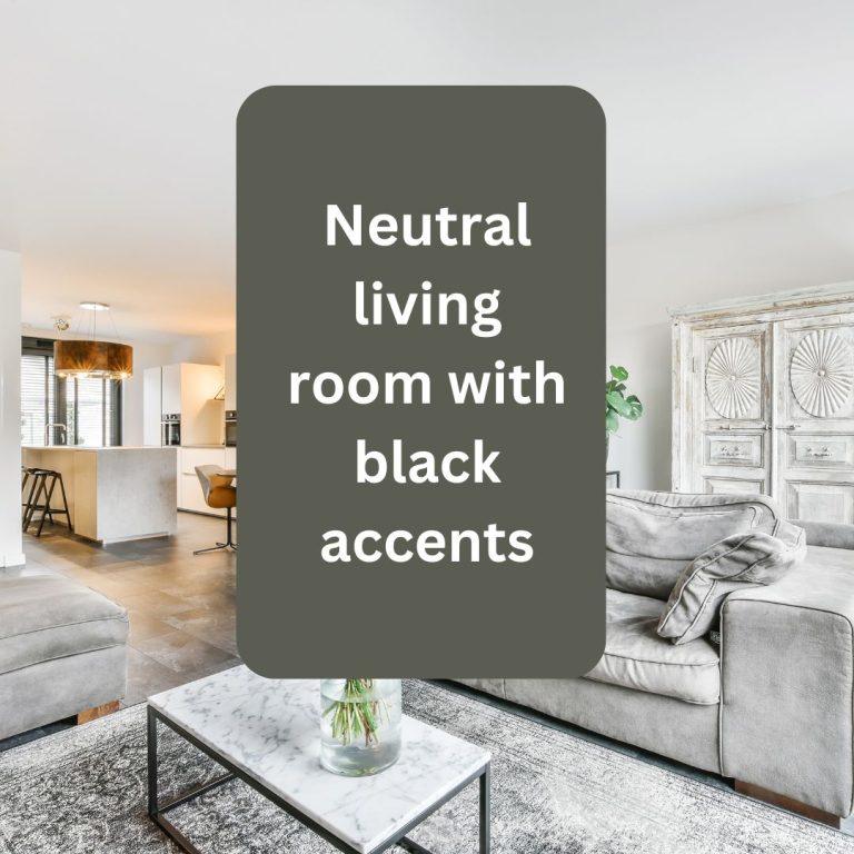 neutral living room with black accents